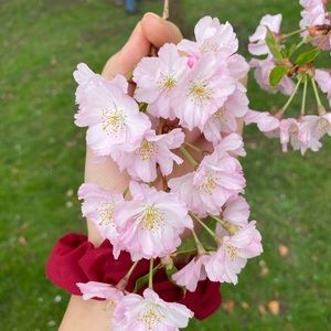 Meet your Posher, Htee